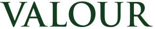 district-logo-valour